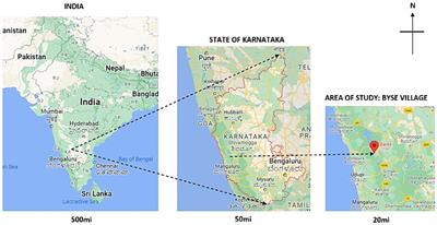 Examining underutilized jackfruit (Artocarpus heterophyllus) seeds as a potential source of human subsistence in the Byse community, India